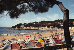 17 SAINT PALAIS SUR MER - Saint-Palais-sur-Mer