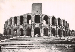 13 ARLES LES ARENES - Arles