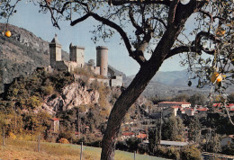 09 FOIX LE CHÂTEAU - Foix