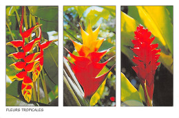 972 MARTINIQUE FLEURS TROPICALES - Autres & Non Classés