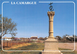 13 CAMARGUE LA CROIX DES GARDIANS - Sonstige & Ohne Zuordnung