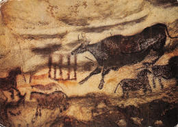 24 MONTIGNAC GROTTE DE LASCAUX - Montignac-sur-Vézère