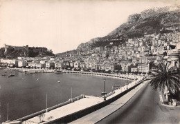 MONACO LA CONDAMINE ET LE PALAIS DU PRINCE - Sonstige & Ohne Zuordnung