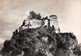 65 LOURDES LE CHÂTEAU FORT - Lourdes