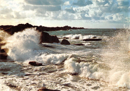 56 LE GOLFE DU MORBIHAN - Sonstige & Ohne Zuordnung