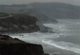 64 LA COTE BASQUE LES FALAISES - Autres & Non Classés