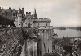 37 AMBOISE LE CHÂTEAU - Amboise