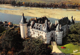 41 CHAUMONT SUR LOIRE LE CHÂTEAU - Other & Unclassified