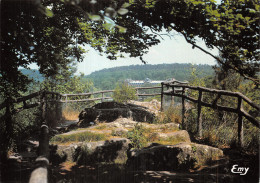 61 BAGNOLES DE L ORNE LE ROC AU CHIEN - Bagnoles De L'Orne