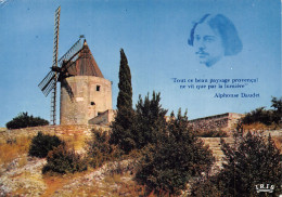 13 FONTVIEILLE LE MOULIN DE DAUDET - Fontvieille