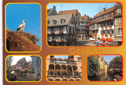 68 COLMAR - Colmar