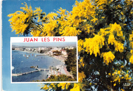 06 JUAN LES PINS - Juan-les-Pins