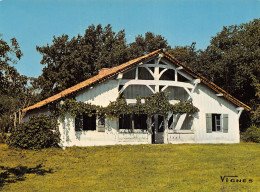 40 VISAGE DES LANDES MAISON LANDAISE - Altri & Non Classificati