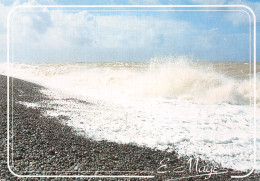 50 LITTORAL DE LA MANCHE ET DE LA MER DU NORD - Autres & Non Classés