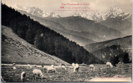 64 COL D'ASPIN Carte Postale Ancienne /REF -VP3712 - Altri & Non Classificati