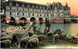 37 CHENONCEAUX Carte Postale Ancienne /REF -VP3610 - Other & Unclassified