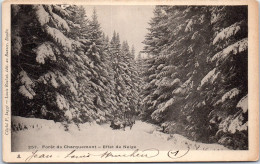 25 FORET DU DOUBS Carte Postale Ancienne /REF -VP5441 - Other & Unclassified