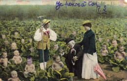 COUPLE DANS UN CHAMP DE CHOUX A LA RECHERCHE D'UN ENFANT LE CULTIVATEUR EST LA POUR LES AIDER - Szenen & Landschaften