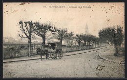 CPA Montmagny, Avenue Des Tilleuls  - Autres & Non Classés