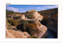 CPSM / CPM 10.5 X 15 Tunisie  MIDES  Une Oasis De Montagne - Tunisie