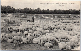 28 En Beauce - Vue D'un Parc A Moutons  - Andere & Zonder Classificatie