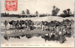 TUNISIE - Scenes Et Types, Troupeau De Chameaux  - Tunisia