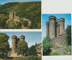 TOURNEMIRE ( 15  )  LE  CHÂTEAU  D'  ANJONY   -  3  C P M  DIVERSES' ( 24 / 6 / 16  ) - Schlösser