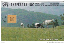 GREECE - Horses, 04/97, Used - Chevaux
