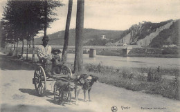 Belgique - YVOIR (Namur) Voiture à Chiens - Dog Cart - Équipage Ardennais - Ed. Nels Série 51 N. 15 - Yvoir