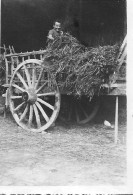 Photo Original 8,5x6 Cm - Homme Au Sommet D'une Charret Travaillant Sur Le Terrain - Anonymous Persons