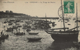 CPA35- CANCALE- Le Triage Des Huitres - Cancale