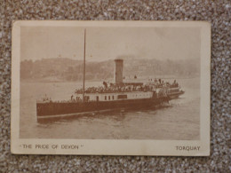 PADDLE STEAMER PRIDE OF DEVON AT TORQUAY - Dampfer