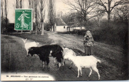 41 En Sologne - Une Gardeuse De Chevres  - Autres & Non Classés