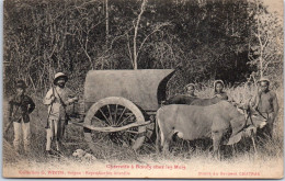 INDOCHINE - Charette De Boeufs Chez Les Mois (carte Souple) - Vietnam