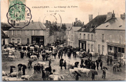 58 CHAMPLEMY - Le Champ De Foire - Autres & Non Classés