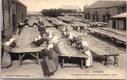 56 QUIBERON - Femmes Mettant Leurs Sardines A Secher  - Quiberon