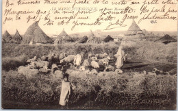 MAROC - Scene Pittoresque, Douar Marocain. - Other & Unclassified