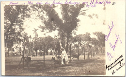 INDOCHINE - HANOI - CARTE PHOTO - Le Jardin Botanique. - Viêt-Nam