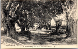 INDE - PONDICHERY - L'allee Du Grand Etang. - Indien