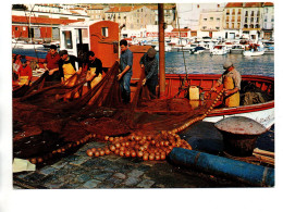 CP PORT VENDRES  Le Port De Pêche - Port Vendres