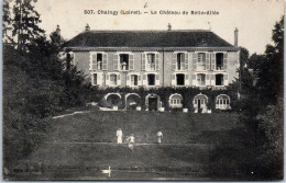 45 CHAINGY - Le CHATEAUde Belle Allee. - Sonstige & Ohne Zuordnung