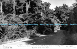 R176592 Scenic Drive. Auckland. N. Z. The 20 Mile Round Trip North West Of Auckl - Welt