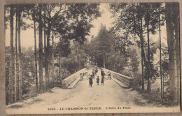 CPA 43 - LE CHAMBON De TENCE - L'Allée Du Pont - TB PLAN EDIFICE + ANIMATION Sur La Route - Sonstige & Ohne Zuordnung