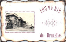BELGIQUE - BRUXELLES - Souvenir.  - Autres & Non Classés