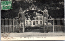 45 CHAINGY - Grille Du CHATEAUde Bezy  - Other & Unclassified