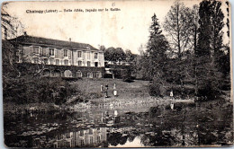 45 CHAINGY - Facade Du CHATEAUde Belle Allee.  - Otros & Sin Clasificación