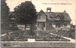 45 CHAINGY - Cottage De Chantegrille  - Otros & Sin Clasificación
