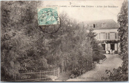 45 CHAINGY - CHATEAUdes Cedres Allee De Bambous - Other & Unclassified