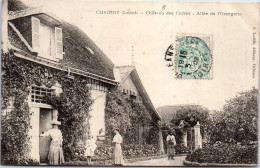 45 CHAINGY - CHATEAUdes Cedres, Allee De L'orangerie  - Other & Unclassified
