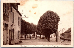 45 CHAINGY - Monument Aux Morts Route D'ingre. - Otros & Sin Clasificación